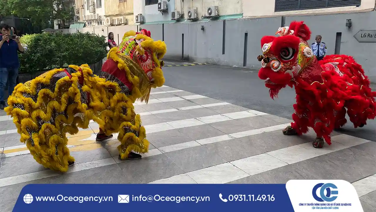 CHO THUÊ MÚA LÂN KHAI TRƯƠNG MIA TẠI BOTANICA