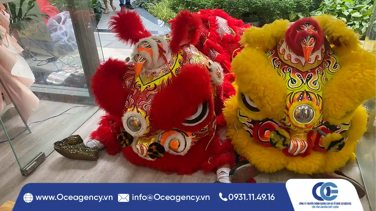 CHO THUÊ MÚA LÂN KHAI TRƯƠNG MIA TẠI BOTANICA