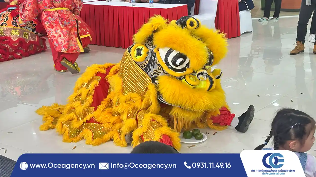 CHO THUÊ MÚA LÂN KHAI TRƯƠNG KAPLA