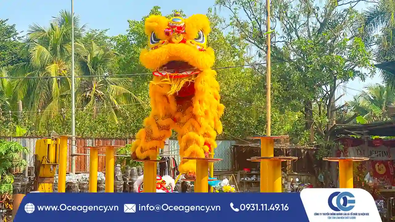 CUNG CẤP DỊCH VỤ LÂN SƯ RỒNG CÔNG TY T&T LIGHTING