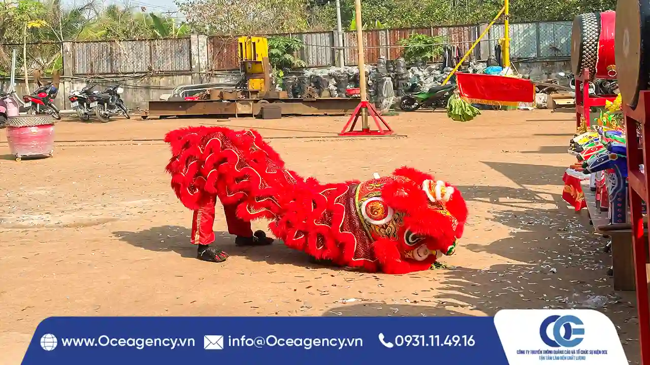 CUNG CẤP DỊCH VỤ LÂN SƯ RỒNG CÔNG TY T&T LIGHTING